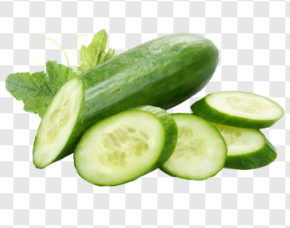 উদ্ভিদ নির্যাস এর সুবিধা কি?